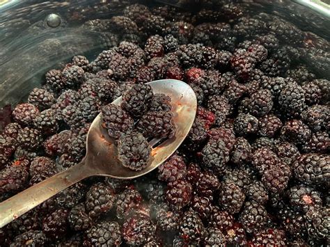 boysenberry-jam-recipe-rudys-original image