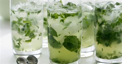 10-best-gin-and-lime-juice-drinks-recipes-yummly image