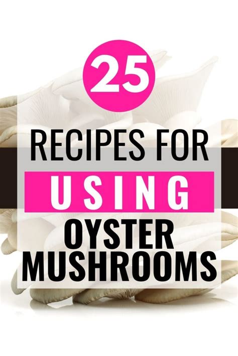 25-recipes-for-oyster-mushrooms-fast-and-fun-meals image