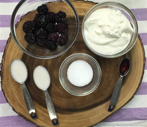 how-to-make-blackberry-frozen-yogurt-mr-foods-blog image