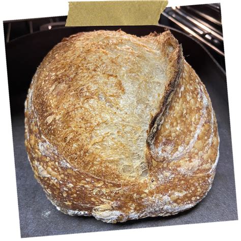 sprouted-wheat-sourdough-bread-natashas-baking image