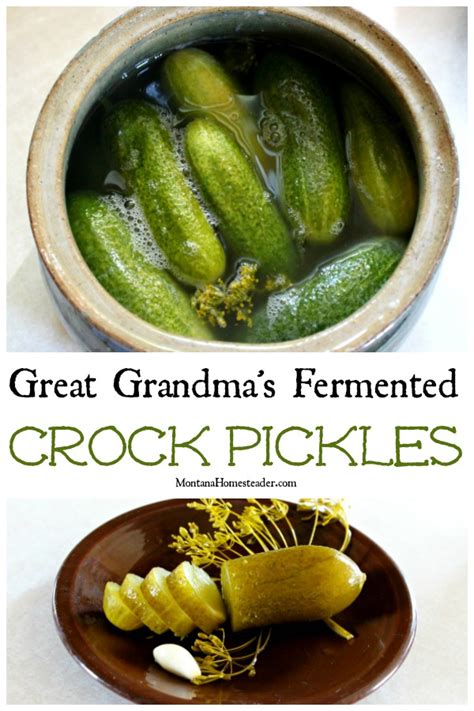 how-to-make-fermented-sour-dill-crock-pickles image