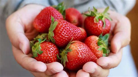 strawberries-101-nutrition-facts-and-health-benefits image