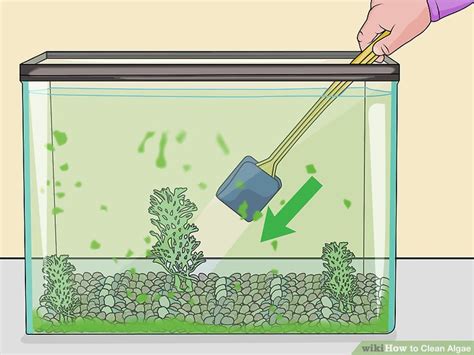 3-ways-to-clean-algae-wikihow image