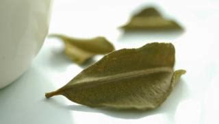 lime-leaves-recipes-bbc-food image