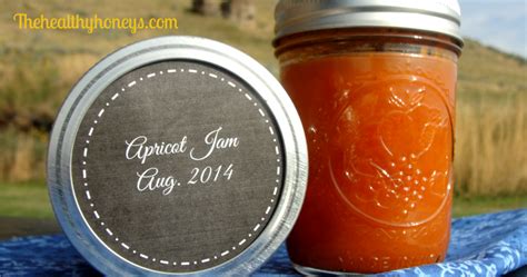 real-food-apricot-jam-recipe-the-healthy-honeys image
