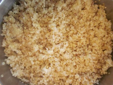 apple-cinnamon-quinoa-porridge-reciperobins-key image