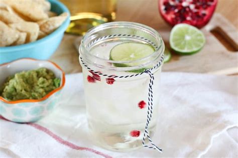 pomegranate-lime-spritzer-all-things-mamma image