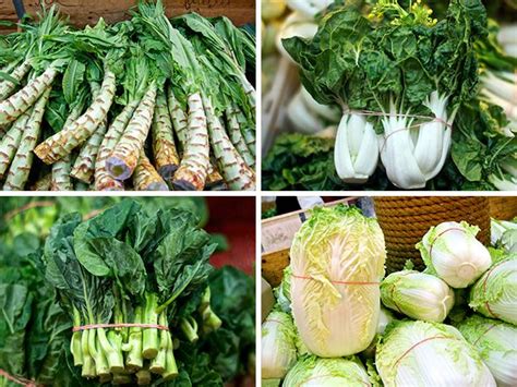 the-serious-eats-field-guide-to-asian-greens image