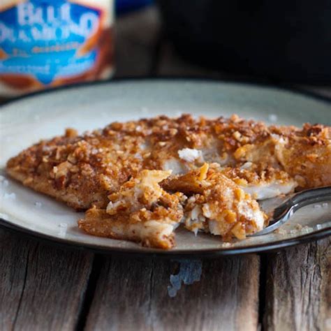 almond-crusted-tilapia-recipe-pinch-of-yum image