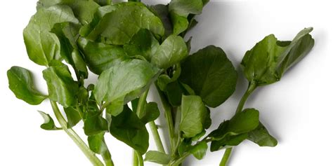 how-to-eat-watercress-epicurious image