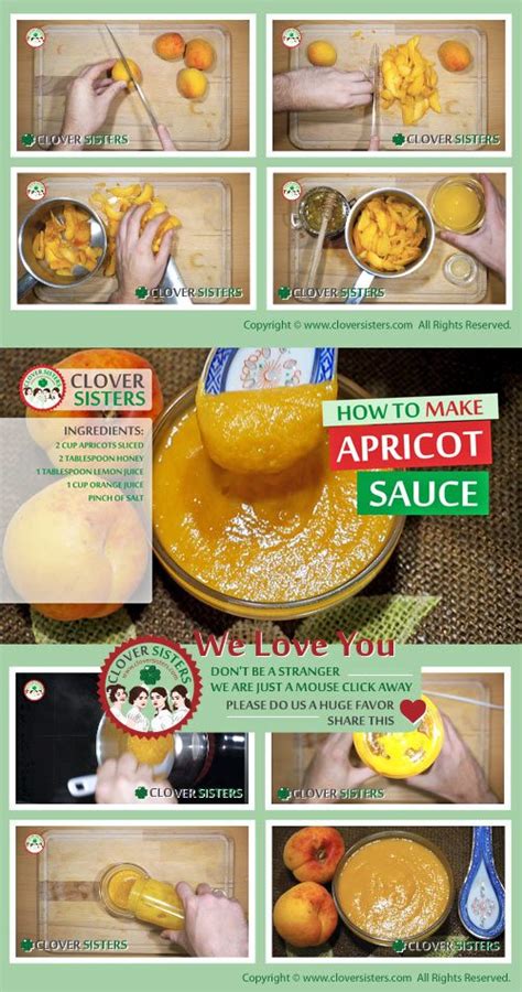 fresh-apricot-sauce-recipe-clover-sisters image