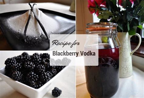 easy-recipe-for-blackberry-vodka-the-travelbunny image