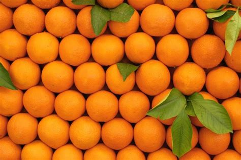 orange-syrup-paulernst-street-food-solutions image