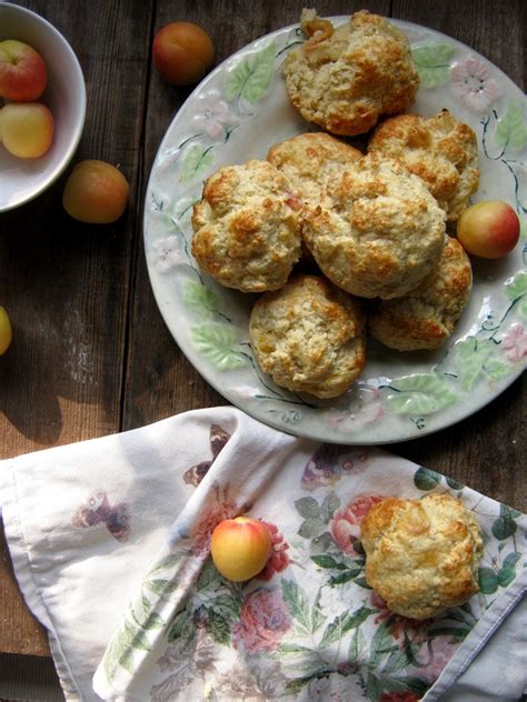 fresh-apricot-scones-julias-cuisine image