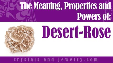 desert-rose-meanings-properties-and-uses-the image