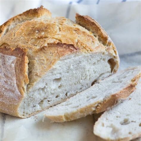 artisan-bread-in-5-minutes-a-day-the-only-recipe-you image