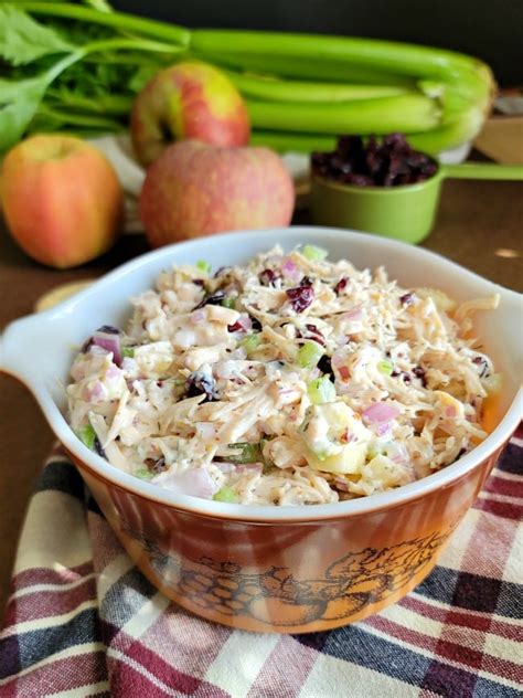 cranberry-apple-chicken-salad-my-homemade-roots image