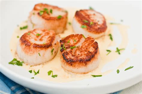 pan-seared-scallops-with-sweet-corn-coulis image