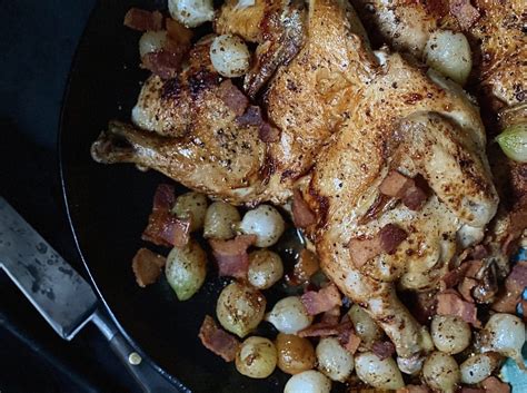 cornish-game-hen-with-bacon-and-onions-alton-brown image
