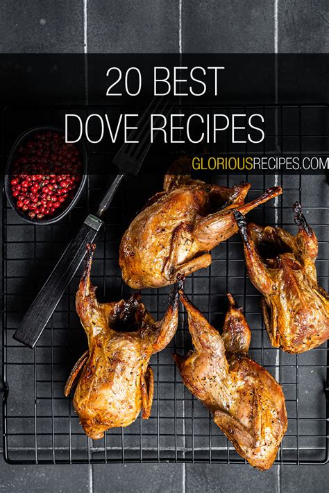 20-best-dove-recipes-that-you-need-to-try image