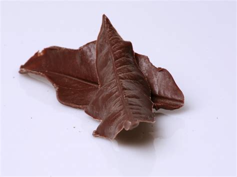 chocolate-leaves-recipe-cdkitchencom image
