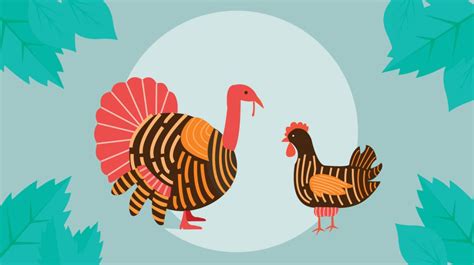 turkey-vs-chicken-which-has-more-protein image