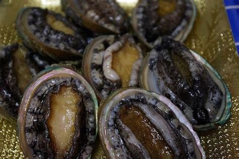 what-is-abalone-and-is-it-an-aphrodisiac-eat image