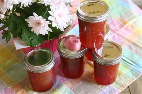 rhubarb-jam-recipe-food-fanatic image