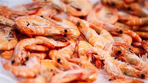 rachaels-shrimp-stock-recipe-rachael-ray-show image