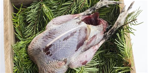 how-to-cook-grouse-great-british-chefs image