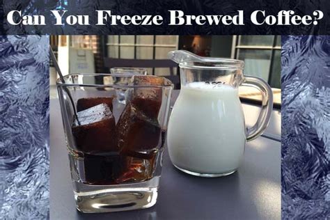 can-you-freeze-brewed-coffee-5-ways-to-use-coffee-ice image