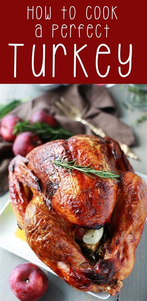 how-to-cook-a-perfect-turkey-easy-peasy-meals image