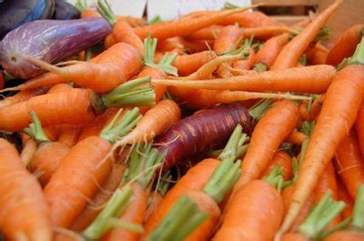 garden-fresh-cookbook-vegetable-hash-recipe-winter image