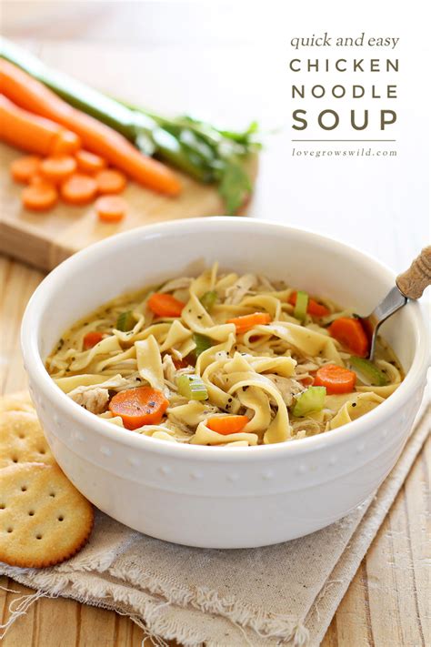 quick-and-easy-chicken-noodle-soup-love-grows-wild image