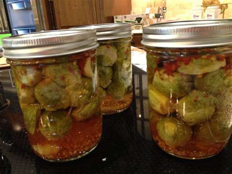 pickled-brussels-sprouts-the-canning-diva image