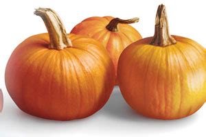 pumpkin-pecan-fudge-foodland-ontario image