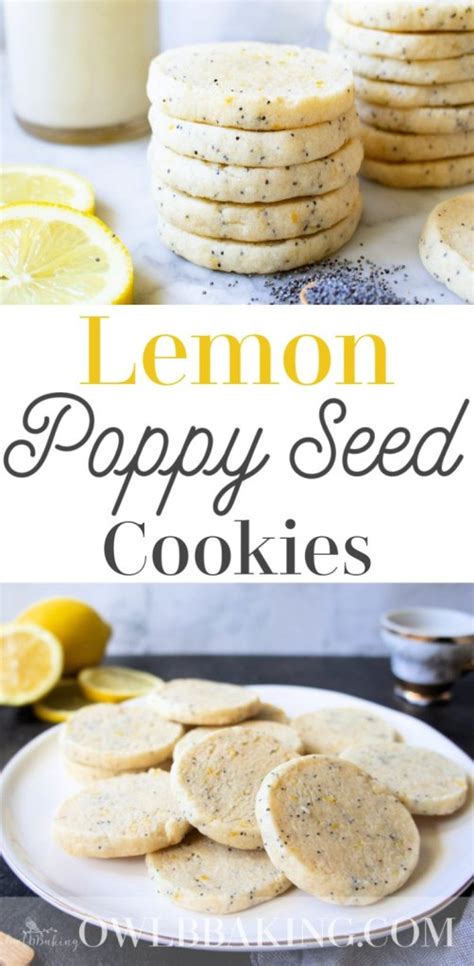 lemon-poppy-seed-slice-and-bake-cookies image