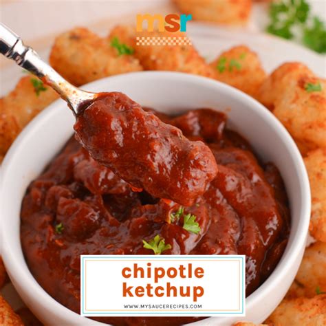 chipotle-ketchup-my-sauce image