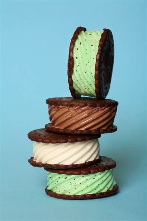 chocolate-mint-chip-ice-cream-sandwiches-for image