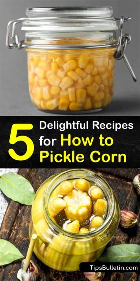 5-delightful-recipes-for-how-to-pickle-corn-tips-bulletin image