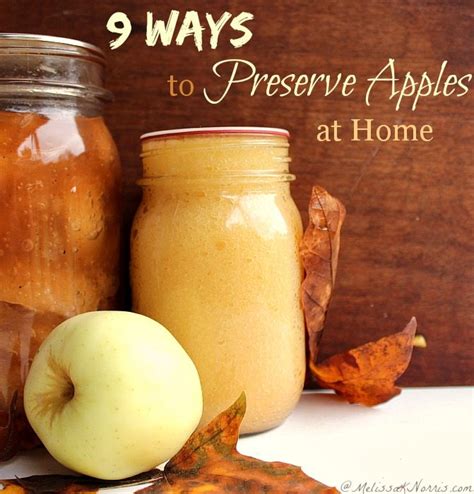 12-ways-to-preserve-apples-at-home-melissa-k-norris image