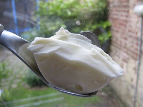 sicilian-gelato-style-ice-cream-ice-cream-nation image