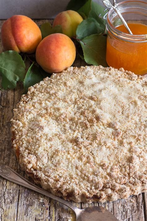 homemade-apricot-jam-crumb-pie image