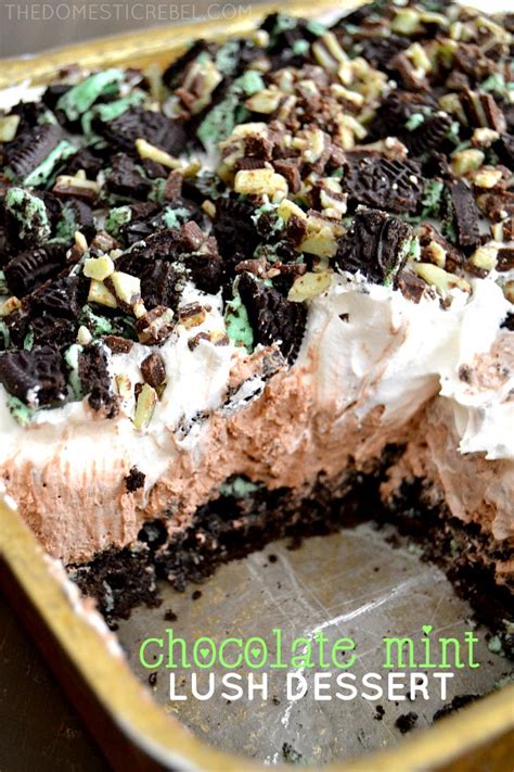 chocolate-mint-lush-dessert-the-domestic-rebel image