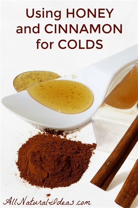 using-honey-and-cinnamon-for-colds-all-natural-ideas image