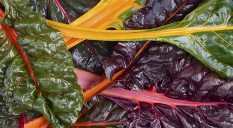 want-to-cook-swiss-chard-try-these-tips-and image