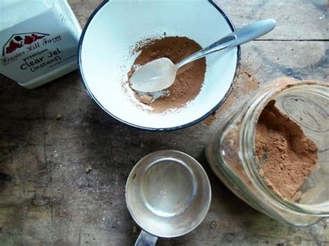 no-cook-instant-chocolate-pudding-mix-recipe-my image
