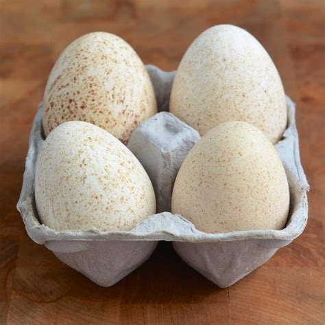 turkey-eggs-have-you-tried-them-kitchn image