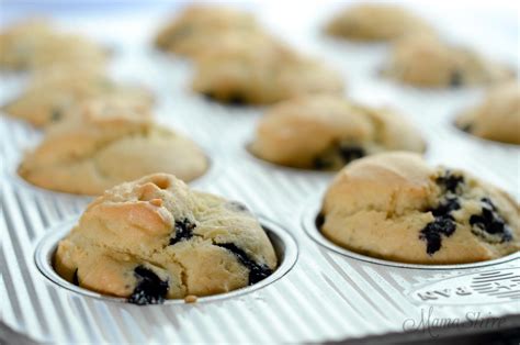 easy-gluten-free-blueberry-muffins-dairy-free image